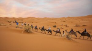 8 Tips voor een Onvergetelijk Avontuur in Marokko