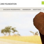 TUI Care Foundation donates €10,000 to Traval Magical Morocco